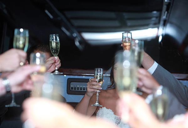 Milwaukee Wedding Luxury Party Bus Service