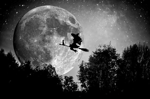 Reliable Transportation on Halloween Witch in the Moonlight